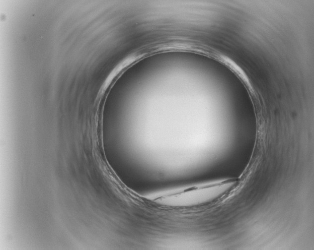 X0000058121146200510212014