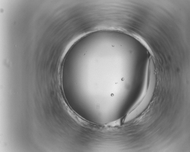 X0000058121148200510212014