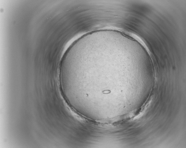 X0000058121149200510212014