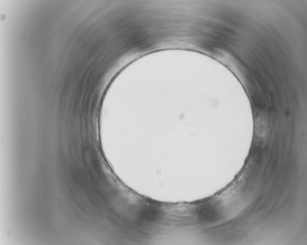 X0000058121150200510212014