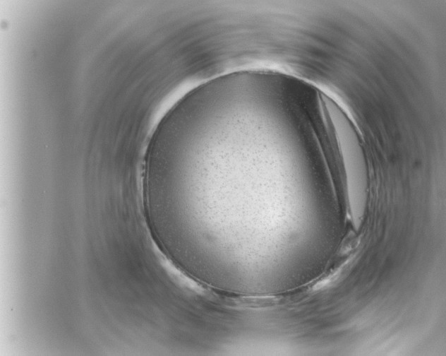 X0000058121151200510212014