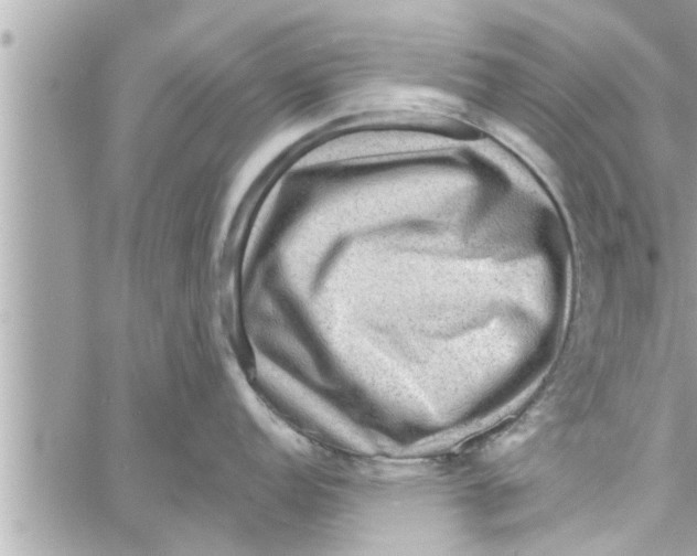 X0000058121152200510212014