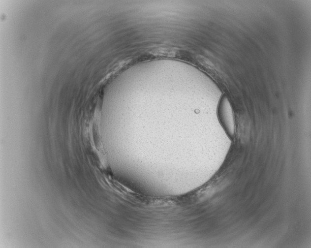 X0000058121154200510212013