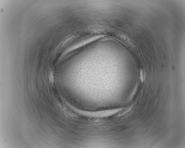 X0000058121155200510212013