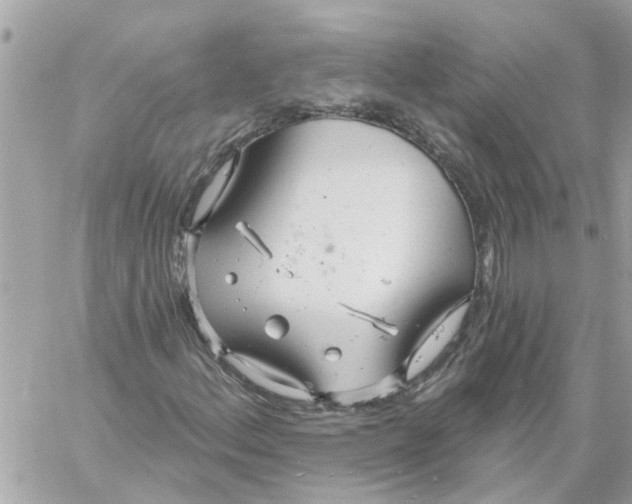 X0000058121156200510212013