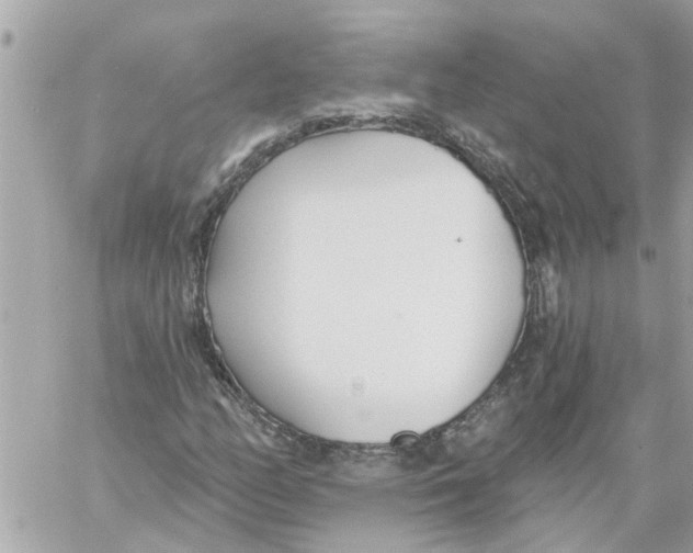 X0000058121158200510212013