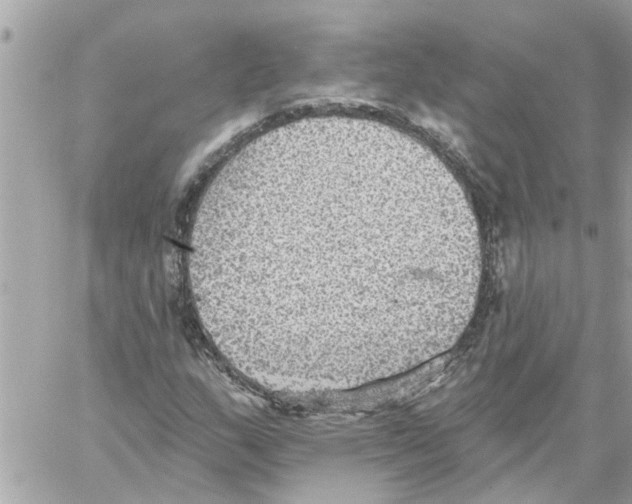 X0000058121159200510212013