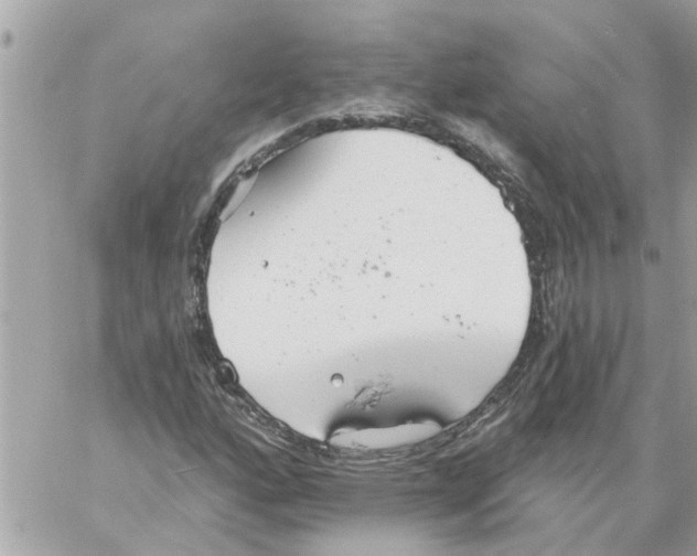 X0000058121160200510212013