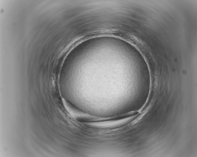 X0000058121161200510212013