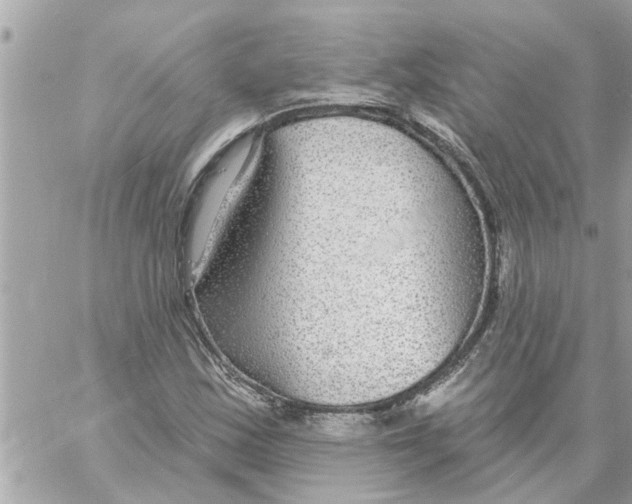 X0000058121163200510212013