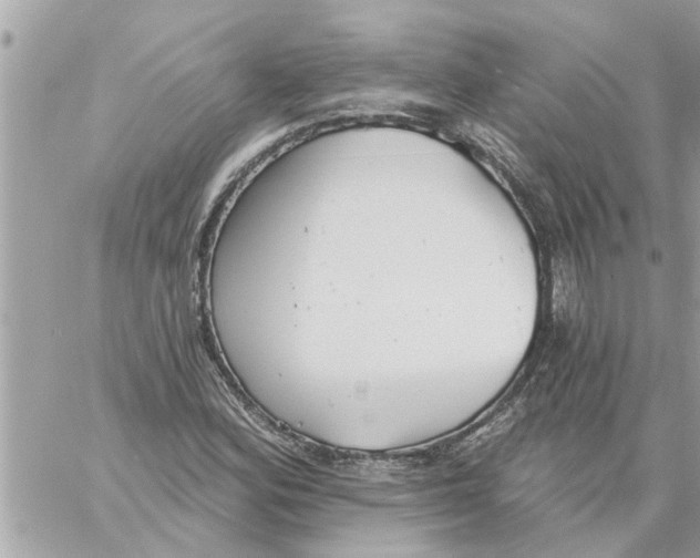 X0000058121164200510212013