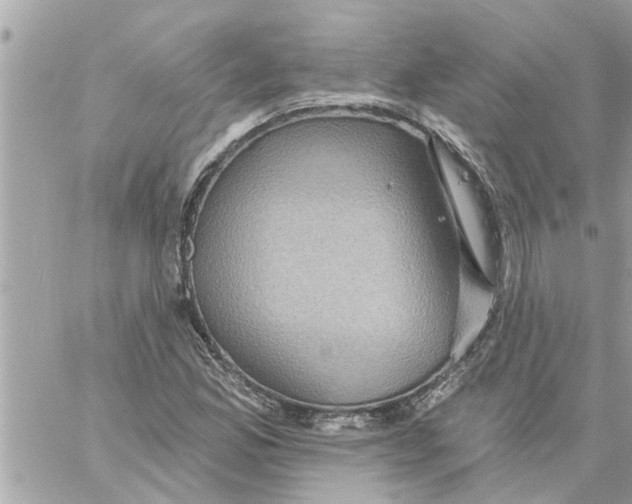 X0000058121165200510212013