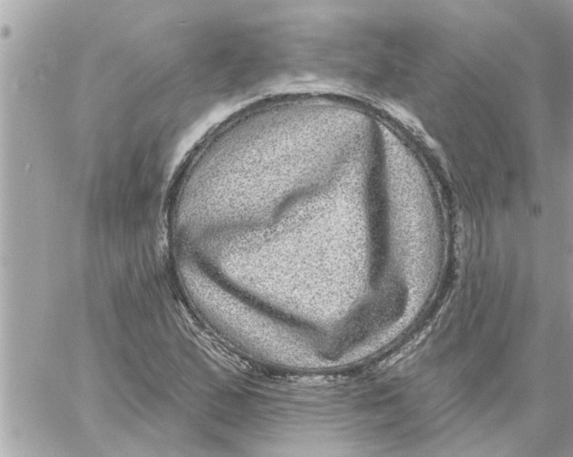 X0000058121167200510212013