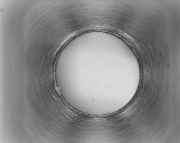 X0000058121170200510212013