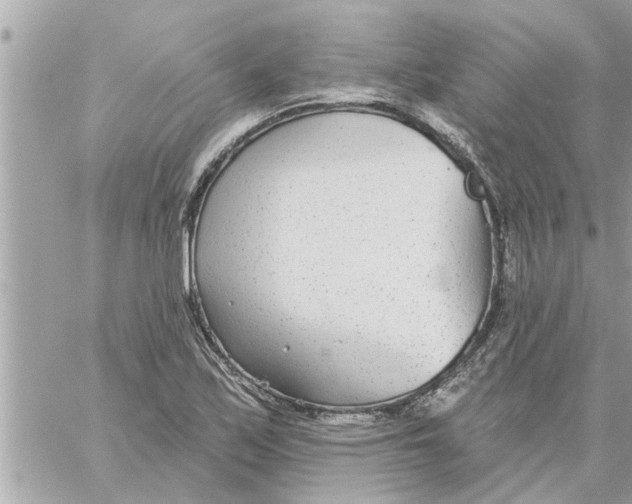 X0000058121171200510212013