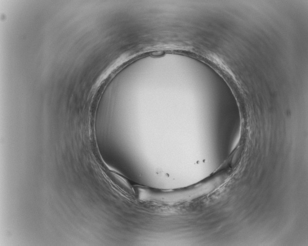 X0000058121173200510212013