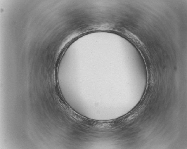 X0000058121174200510212013