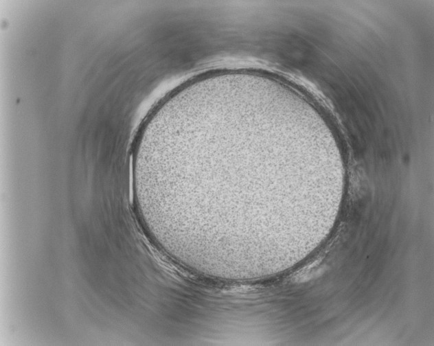 X0000058121175200510212013