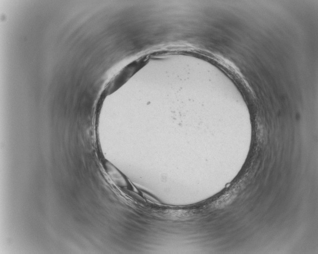 X0000058121176200510212013