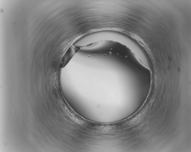 X0000058121177200510212013