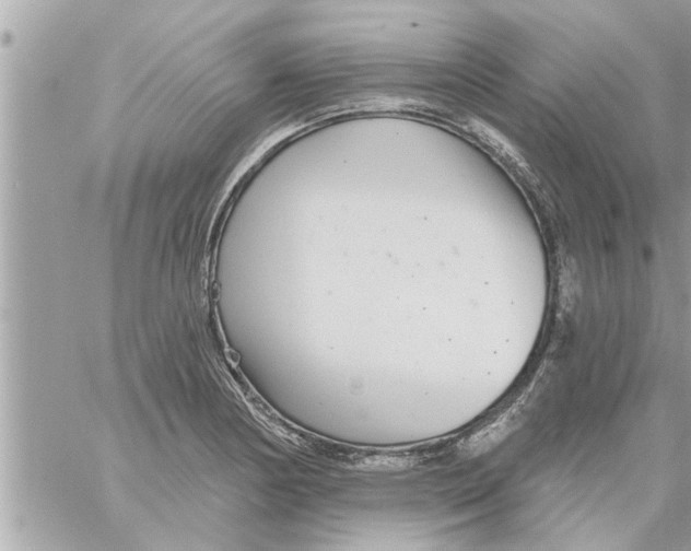 X0000058121178200510212013