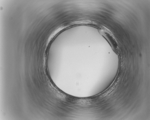 X0000058121179200510212013