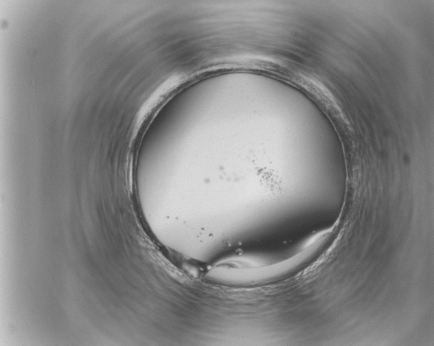 X0000058121180200510212013