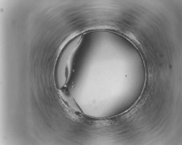 X0000058121181200510212013