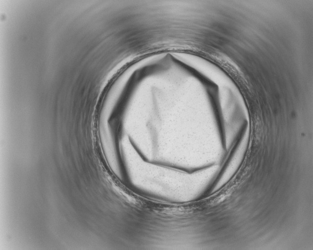 X0000058121182200510212013