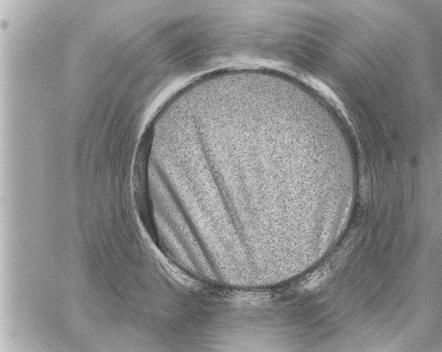 X0000058121183200510212013