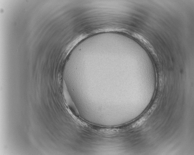 X0000058121185200510212013