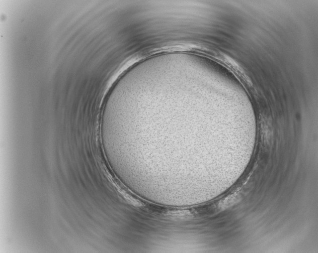 X0000058121186200510212013