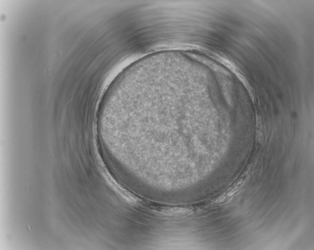 X0000058121187200510212012