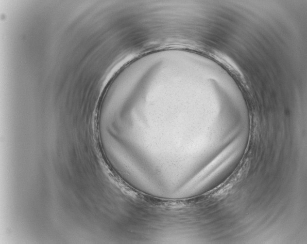 X0000058121190200510212012