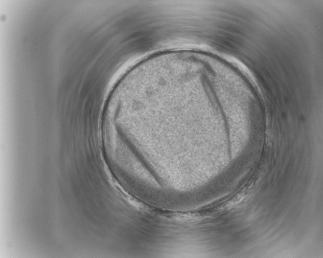 X0000058121191200510212012