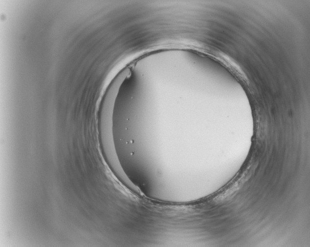 X0000058121192200510212012