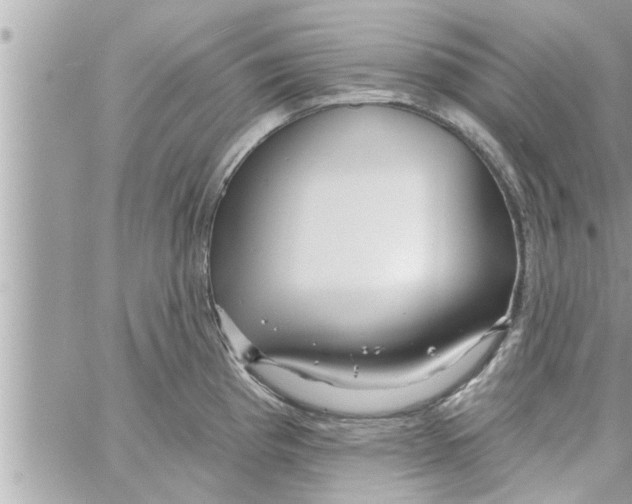 X0000058121193200510212012