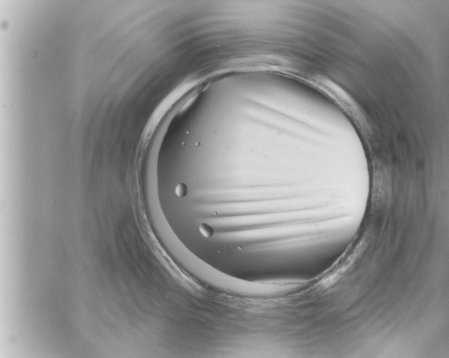 X0000058121196200510212012