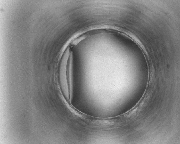 X0000058121197200510212012