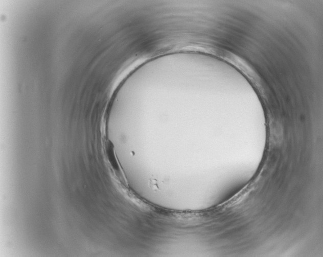 X0000058121198200510212012