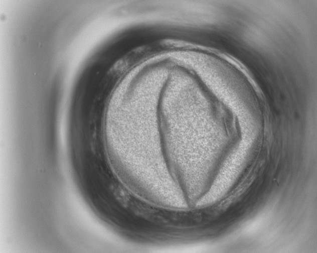 X0000058121199200510212012