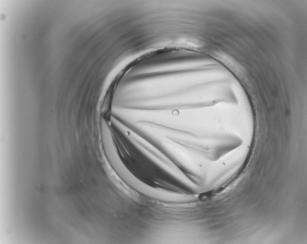 X0000058121200200510212012