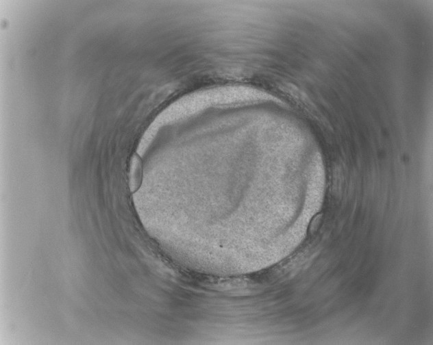 X0000058121201200510212011