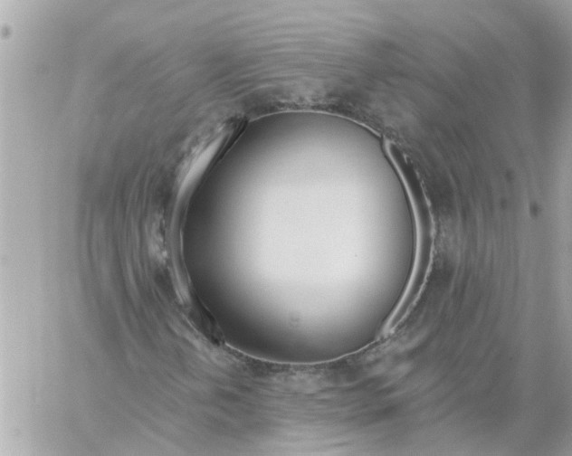 X0000058121202200510212012