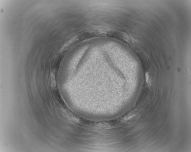 X0000058121203200510212012