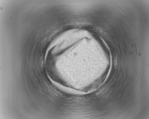 X0000058121204200510212012