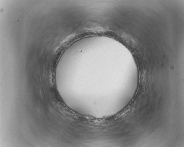 X0000058121205200510212012