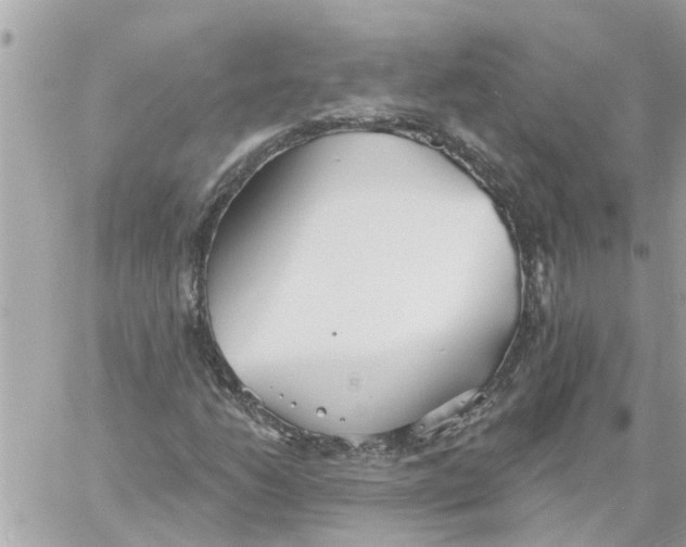 X0000058121206200510212012