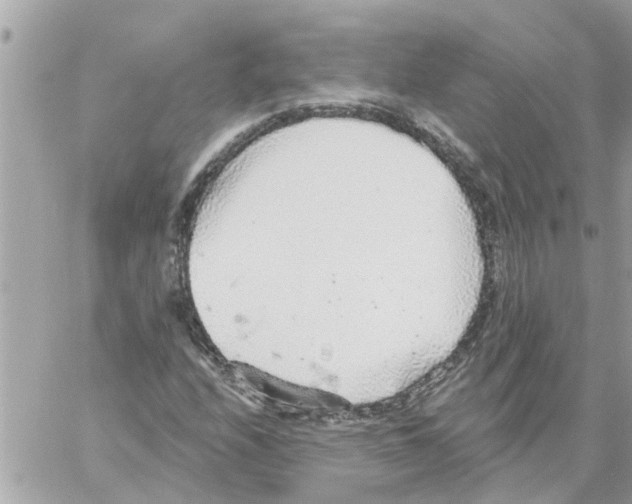 X0000058121208200510212012