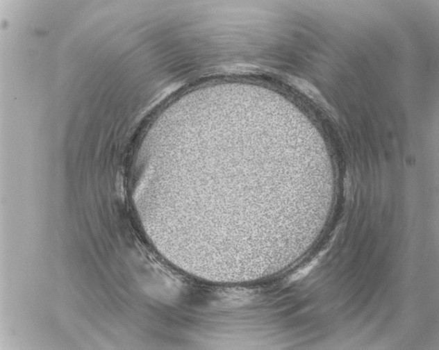 X0000058121209200510212012